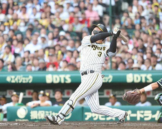 ７回、大山悠輔も高々と上がった打球を見上げたが…