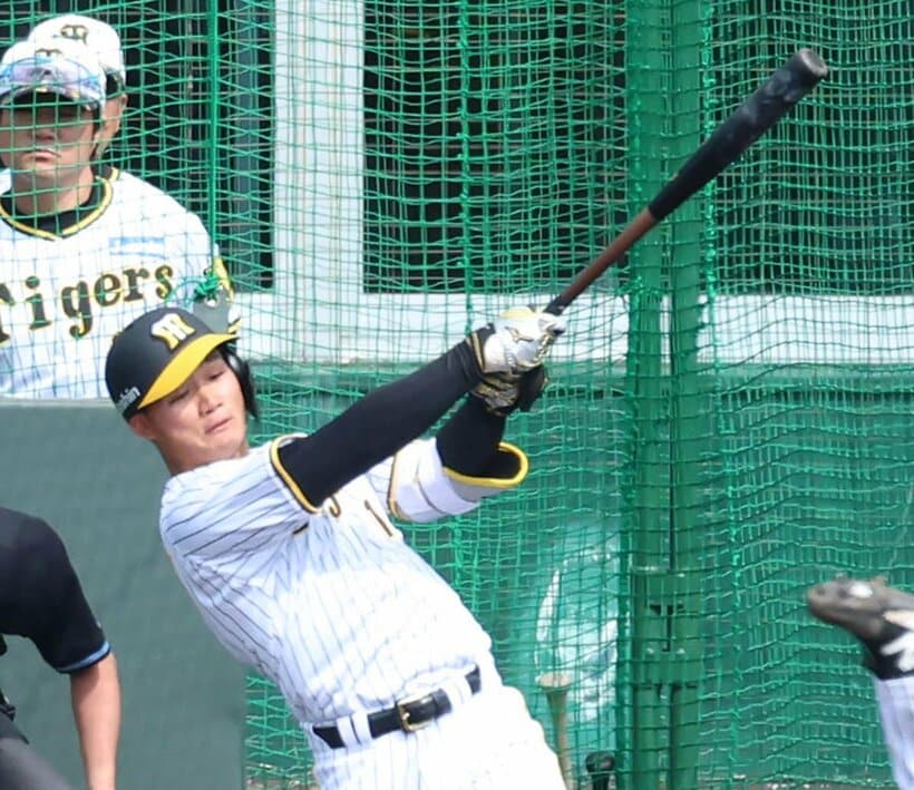 フリー打撃で快音を響かせた阪神・森下翔太