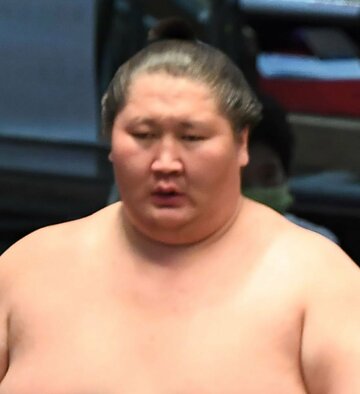  逸ノ城（東スポWeb）