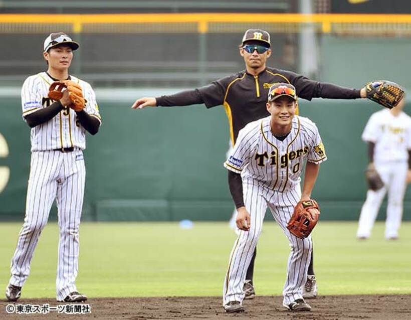  鳥谷（右後方）は正遊撃手を目指す北條（左）と木浪（右手前）にとって“生きた教材”だ