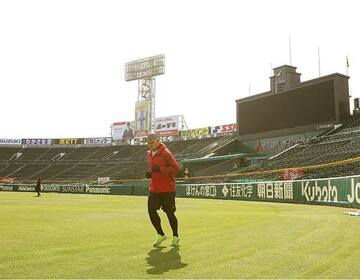  他球団がうらやむ甲子園球場の外野（阪神タイガース提供）
