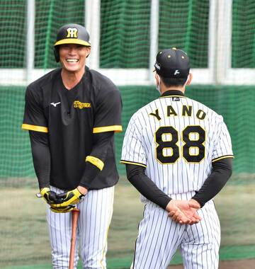  矢野監督と話す糸井は「最高の胴上げ」を目指す（東スポＷｅｂ）