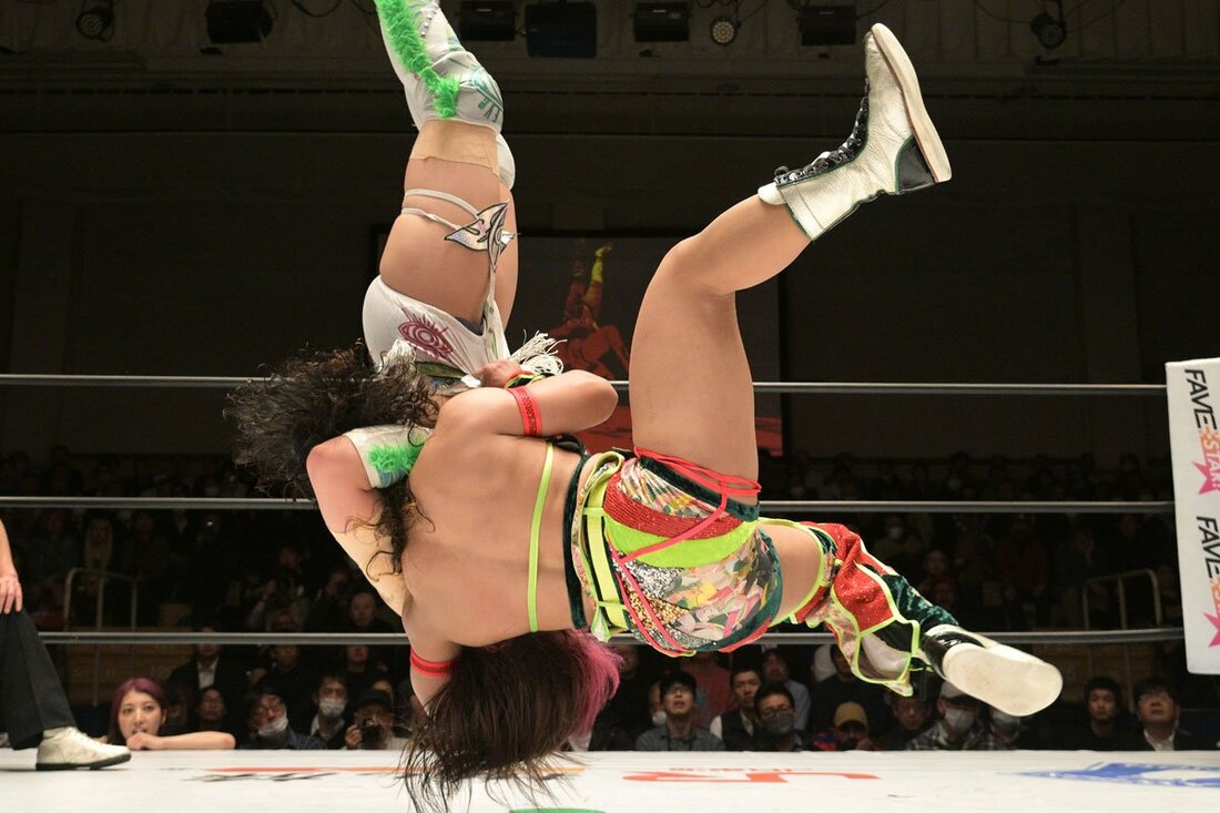 フィニッシュとなった垂直落下式ブレーンバスター