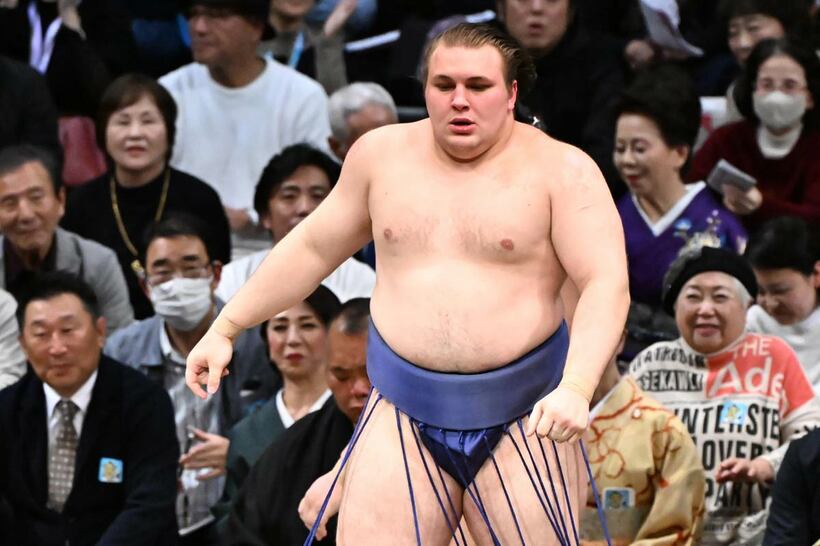 無傷の４連勝を飾った安青錦