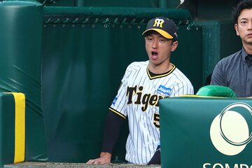 ベンチから声援を送る阪神・近本