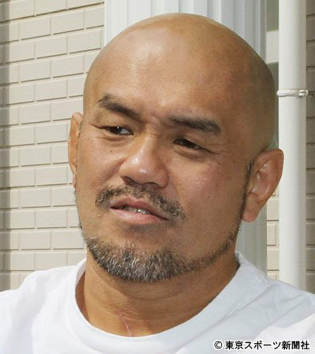 秋山準 ソフビ 会場を盛り上げる秋山準 - スポニチ Sponichi Annex ギャンブル スポーツ