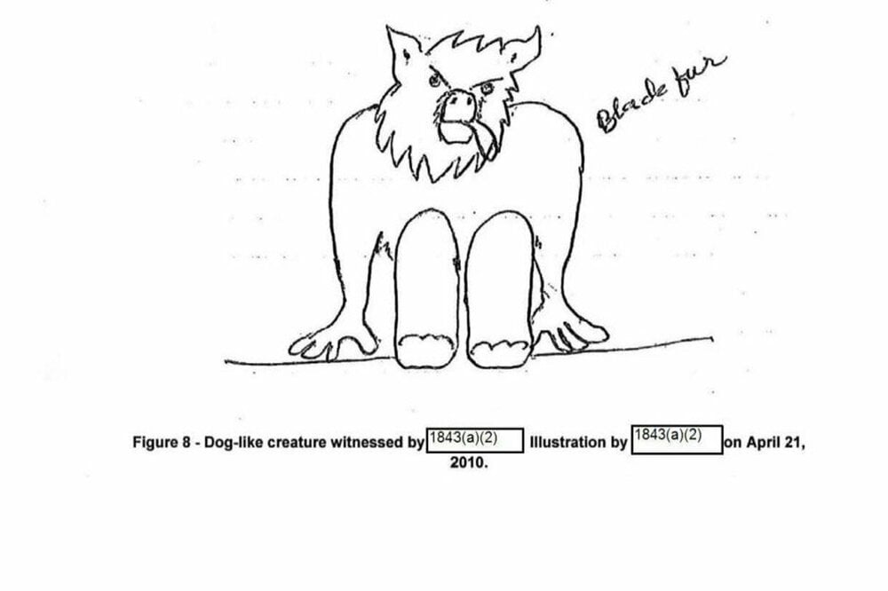 スキンウォーカー・ランチで目撃された奇妙な生物のスケッチ(米国防総省)