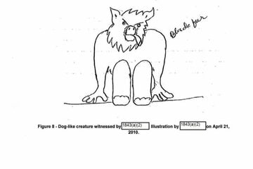 スキンウォーカー・ランチで目撃された奇妙な生物のスケッチ（米国防総省）