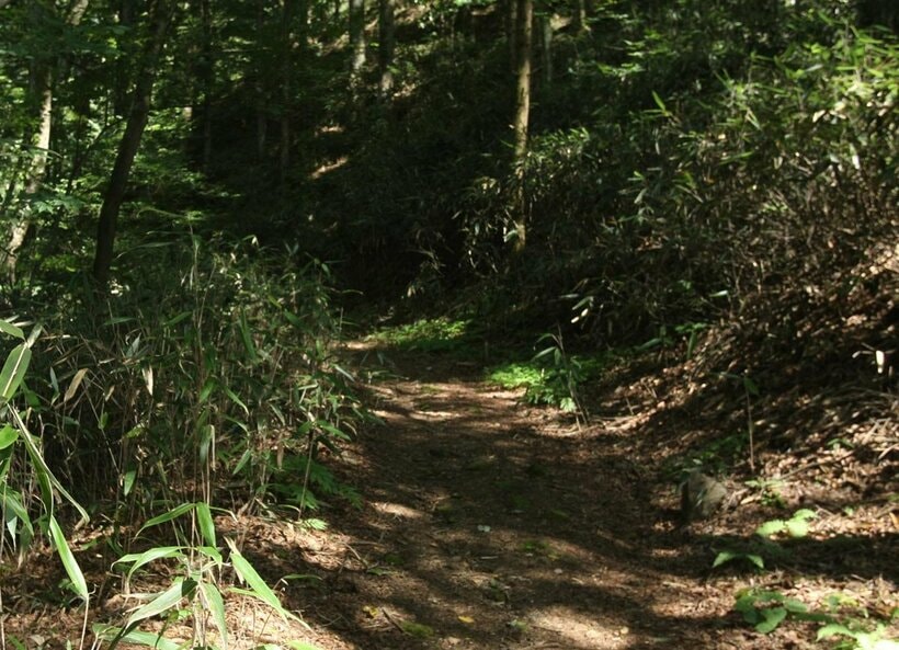 登山をする前にするべきこととは？
