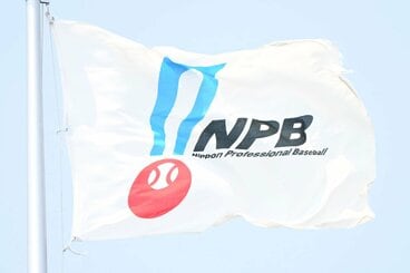 新たな規則を発表したＮＰＢ