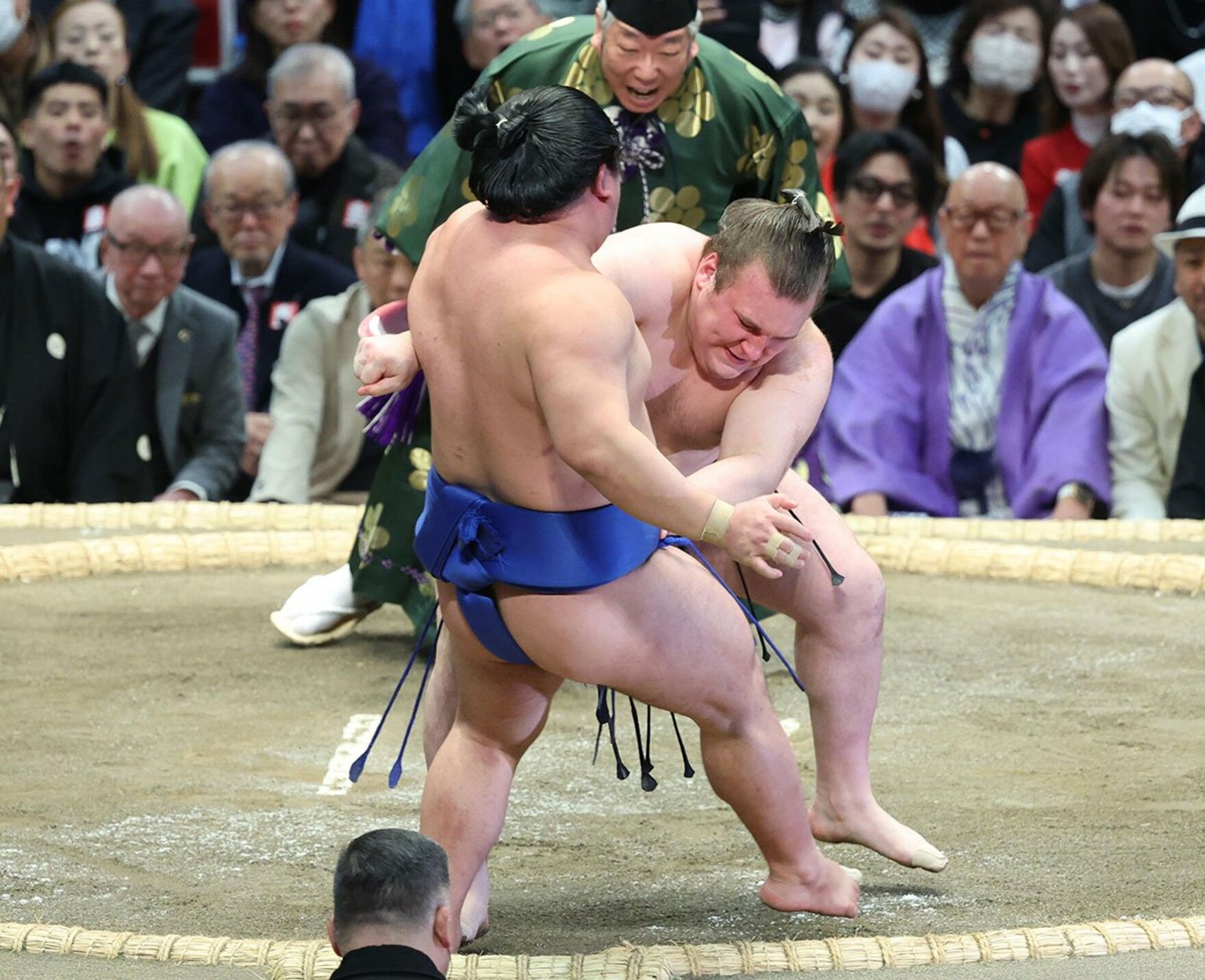 藤ノ川を押し出し３勝目を挙げた安青錦