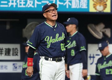ヤクルト・池山監督