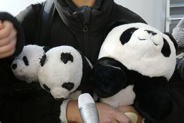パンダのぬいぐるみを持って上野動物園のジャイアントパンダ最終観覧に訪れた少年