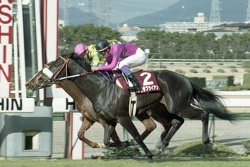ナリタブライアン（１９９６年）