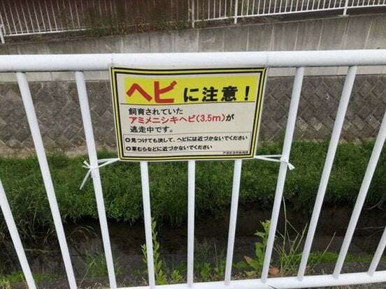 アパート近くの川にはヘビ注意の看板が