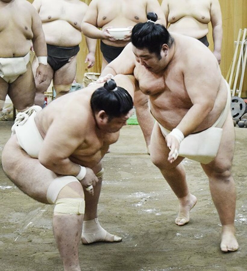  稽古で汗を流す徳勝龍（右）