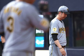 藤川監督は若手育成を進めていく構えだが…