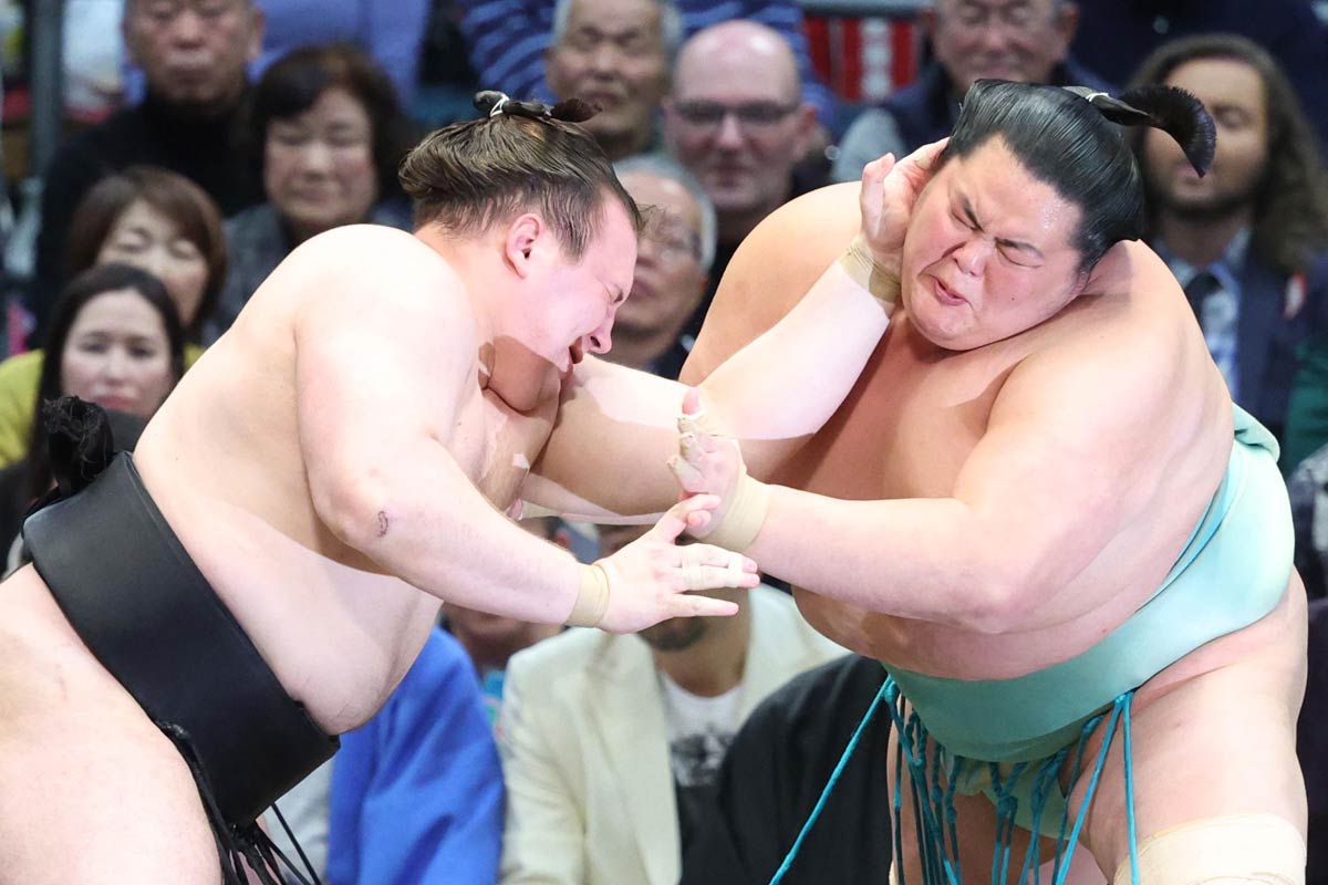 大相撲】安青錦 カド番危機にも気持ちは前向き「若いうちに経験してお