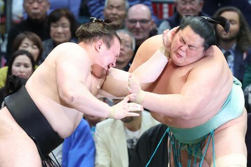 大相撲】安青錦 カド番危機にも気持ちは前向き「若いうちに経験してお