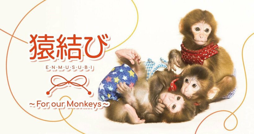  ファンサイト「猿結び」イメージ画像