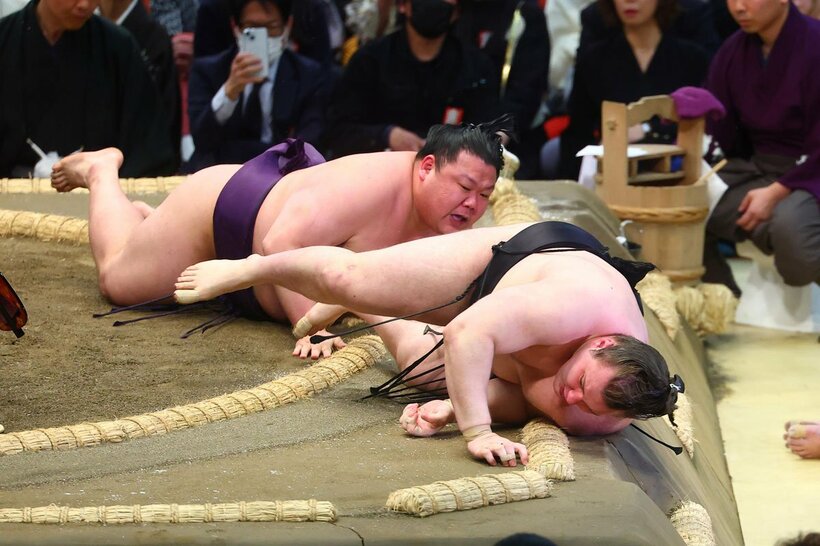 美ノ海（左）に敗れた安青錦