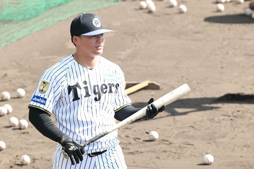 阪神・前川右京