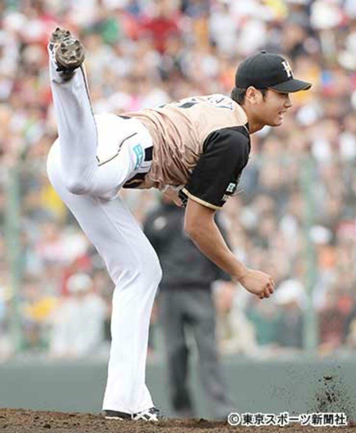 [希少]大谷翔平日ハムプロ2勝目 日ハム大谷が2年連続開幕投手！ 栗山監督が2月22日2時22分22秒に発表