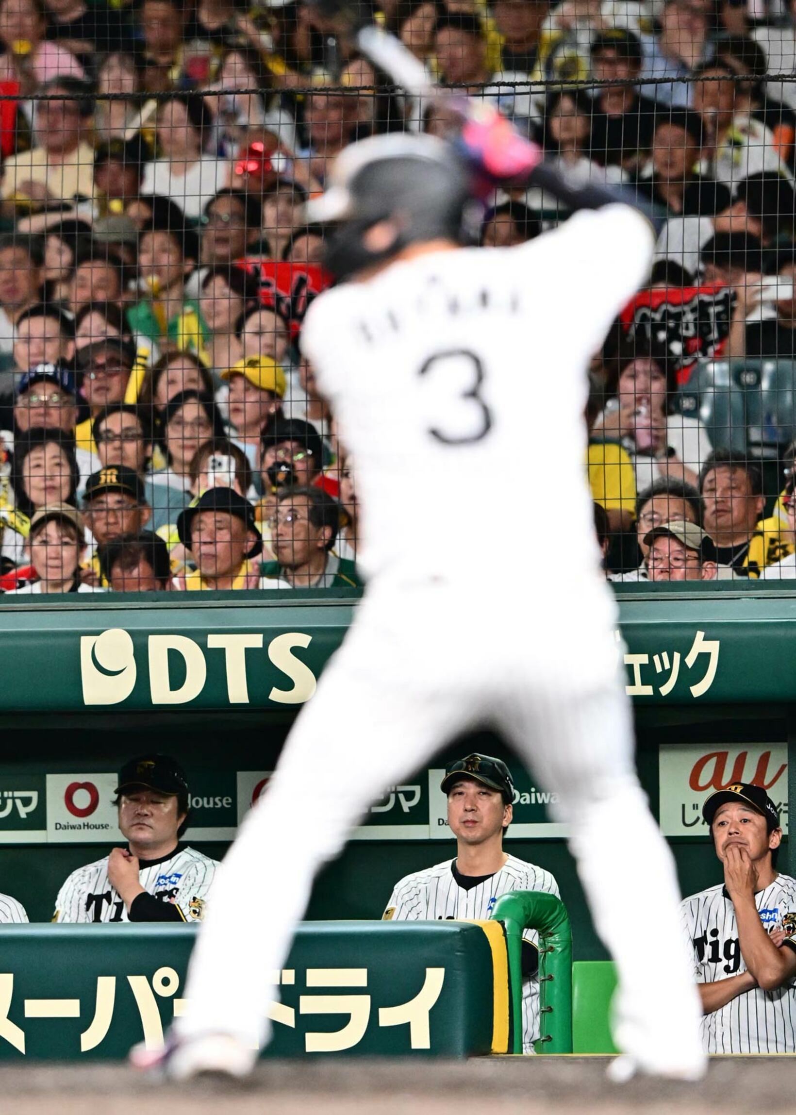 打席に立つ大山をガン見する藤川監督