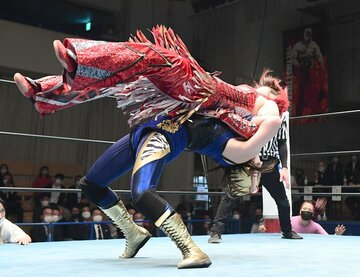  彩羽（上）を新技で仕留めたタイガー・クイーン（東スポWeb）
