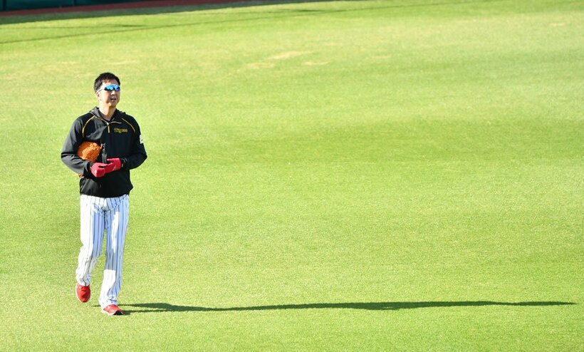 甲子園で汗を流す阪神・藤川