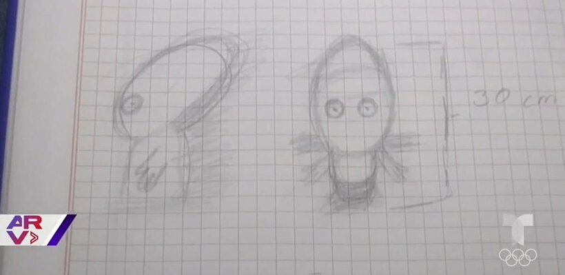  宇宙人のかわいいイラスト（地元メディア「テレムンド」から）