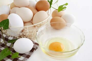  卵のパワーを侮るべからず（写真はイメージ）