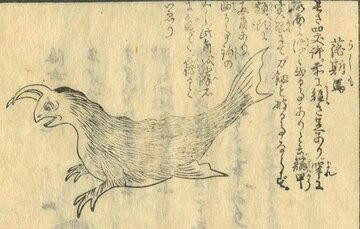  「長崎聞見録」に掲載された未確認生物「落斯馬（らしま）」