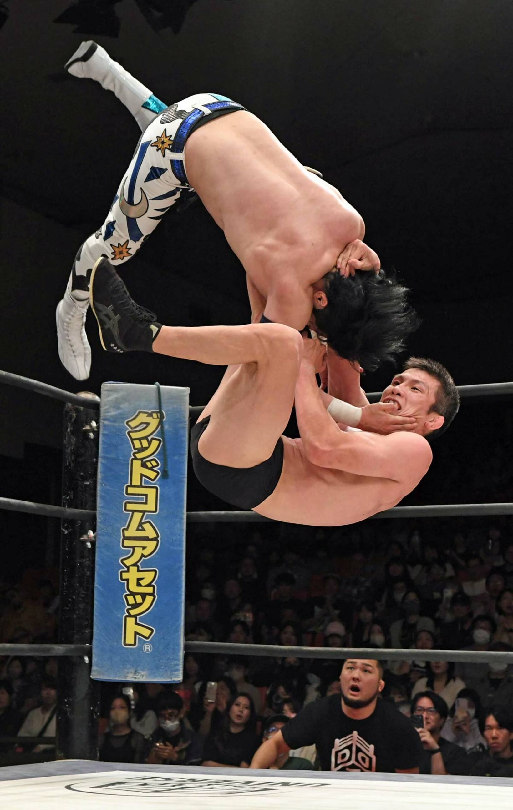 上野勇希（上）をコーナーポストから投げる青木真也