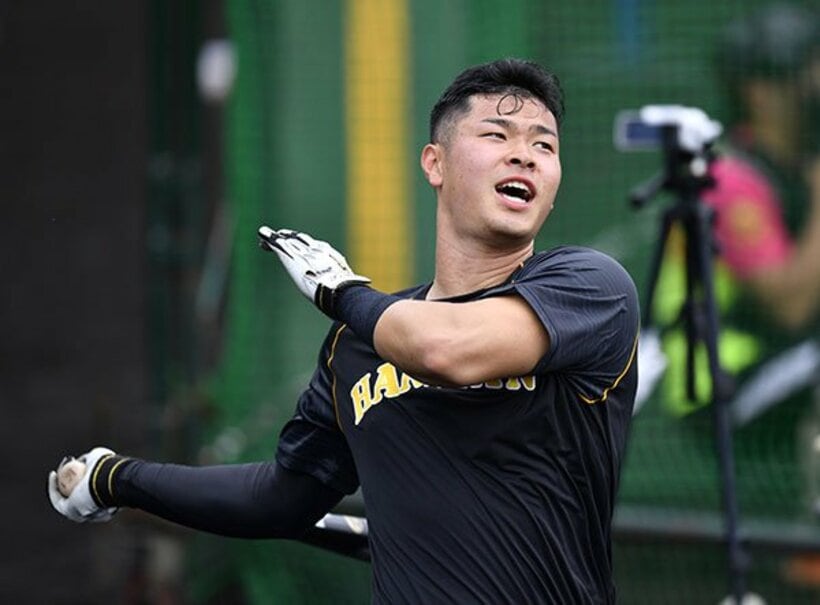  期待通りの長打力を見せている阪神・佐藤輝