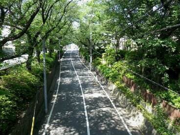 桜坂は切り通しの車道