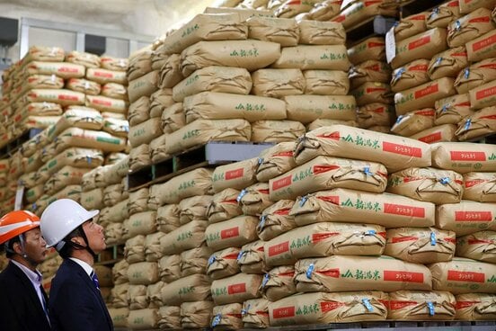 備蓄米倉庫を見学する小泉農相（ロイター）