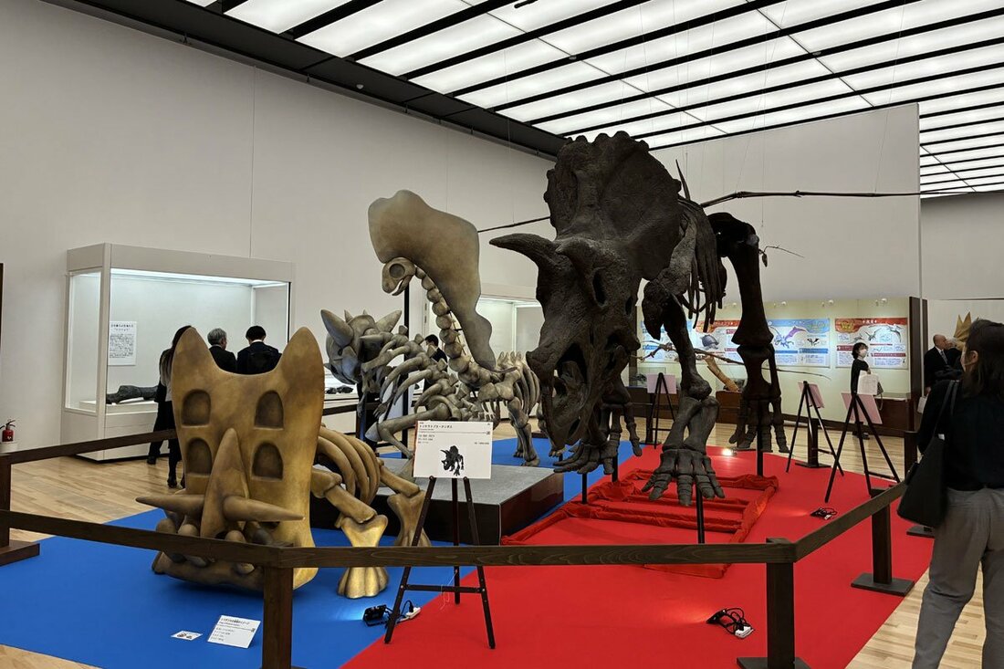 トリケラトプス骨格レプリカ(右)と、ポケモンの骨格想像模型(左)