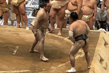 若手に胸を出す佐田の海（左）