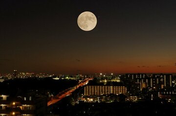 夜、寝ている間に何が起きているのか…（写真はイメージ）