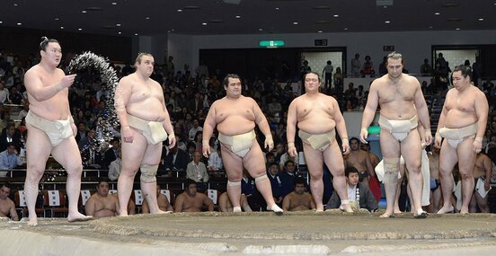 ２０１２年４月２９日の横綱審議委員会稽古総見（左から白鵬、把瑠都、琴奨菊、稀勢の里、琴欧洲、鶴竜）