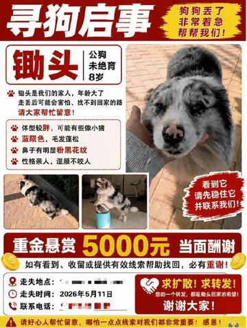 郭さんは懸賞金を出して鋤頭を探していた（微博から）