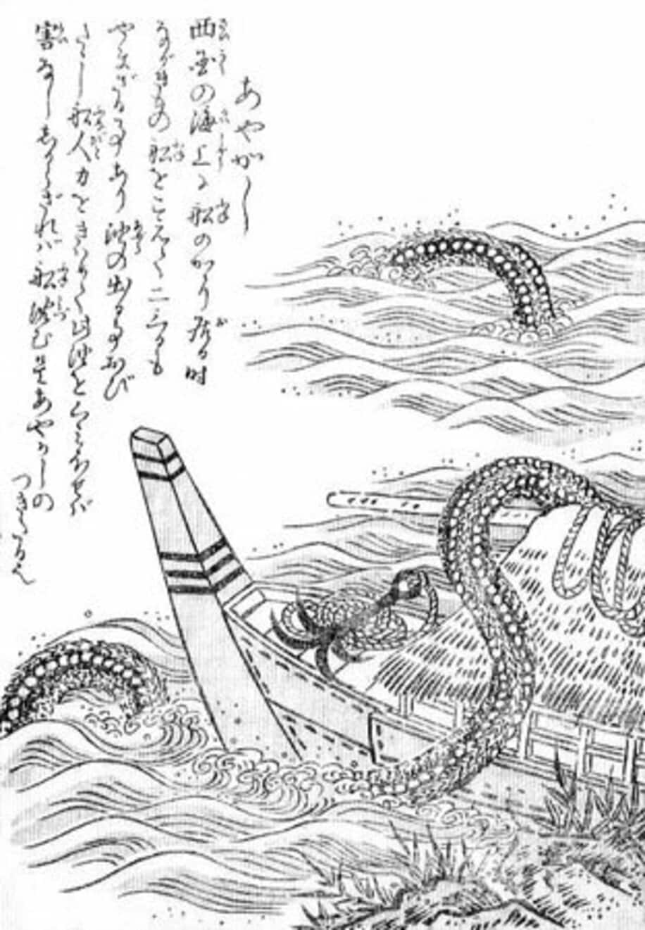  鳥山石燕の妖怪画集「今昔百鬼拾遺」に描かれている「あやかし」