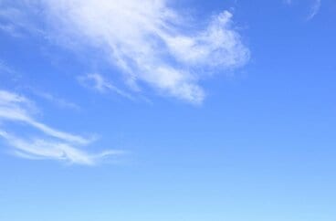 行楽のお供に!