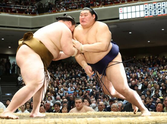 王鵬を下し連勝を決めた大の里（右）