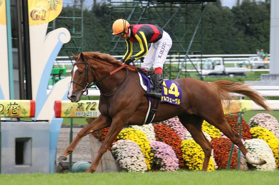 2011年は菊花賞も制し、3冠馬となったオルフェーヴル