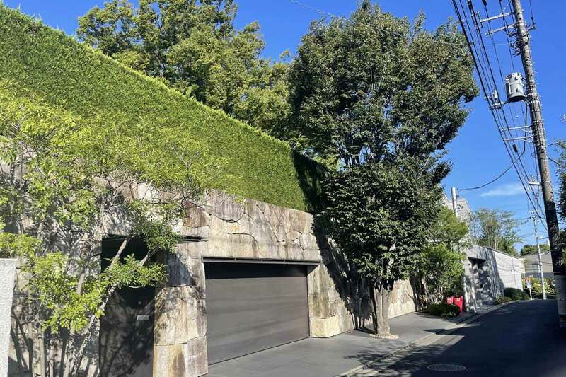 和田アキ子　街路樹を伐採のビッグモーター前社長に怒り「自分とこの自宅は緑だらけやん！」 | 記事 | 東スポWEB