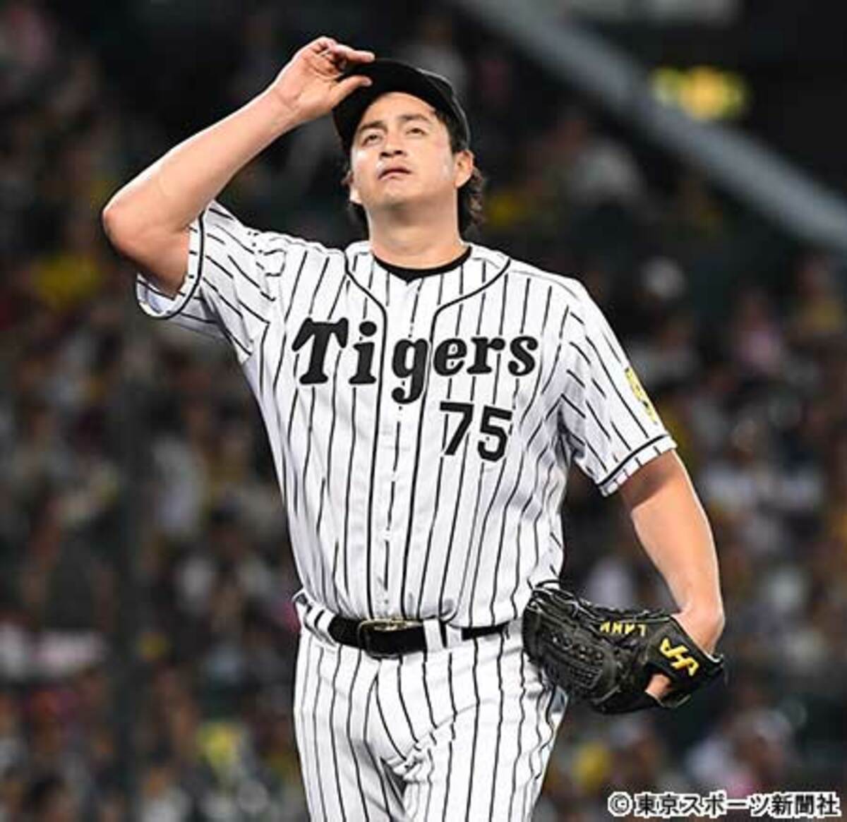 阪神 金本監督 広島との直接対決に気持ち切り替え やるだけでしょ 東スポweb