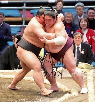 千代栄（右）を寄り切った伯桜鵬