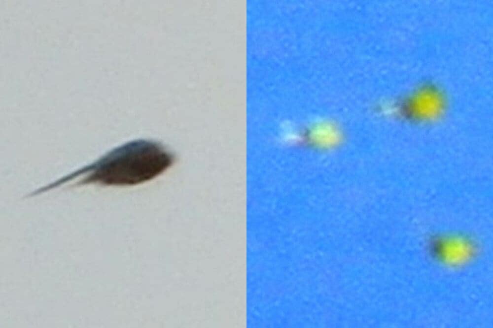 おたまじゃくし型UFO（左）とオレンジ発光３連隊UFO
